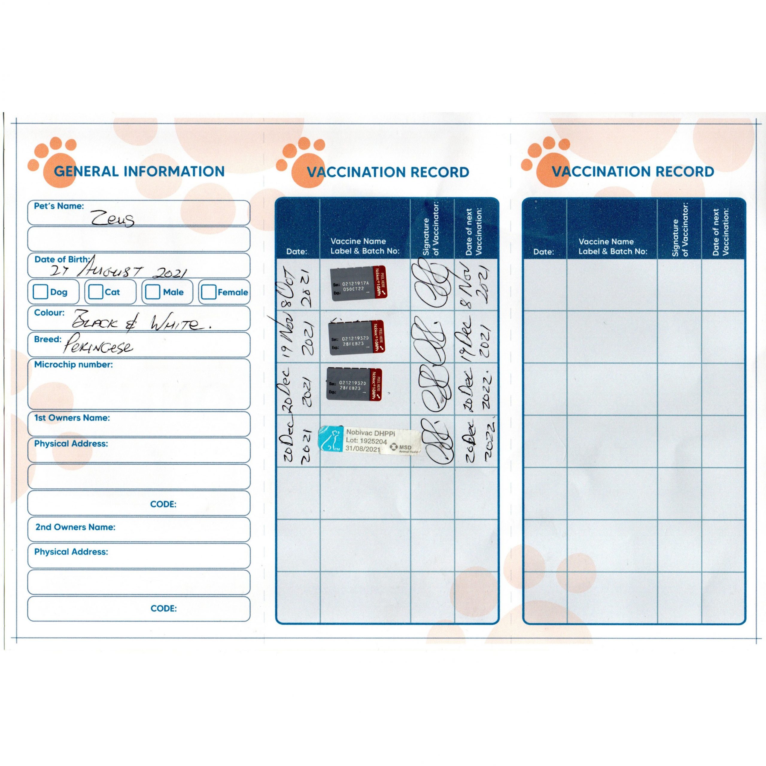 Male Pekingese vaccination card